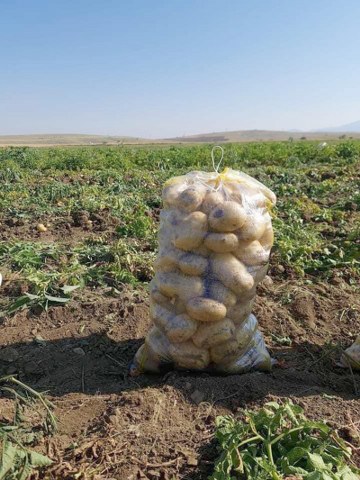   Afyonkarahisar’ın ilçesi Sandıklı’da