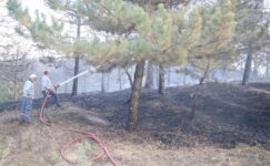 Işıklar’daki orman yangını  14 hektarlık alanı etkiledi