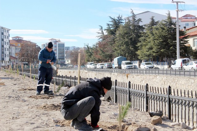 Her yıl binlerce fidanı