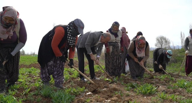   Milliyetçi Hareket Partisi