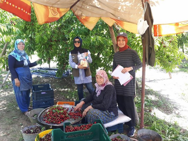 Büyük bir tarımsal potansiyele