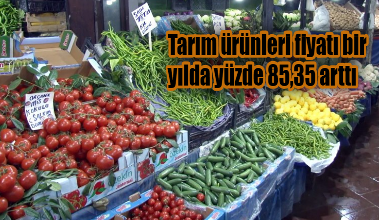 Tarım ürünleri fiyatı bir yılda yüzde 85,35 arttı