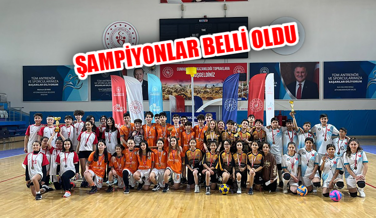 Erkeklerle kadınların birlikte oynadıkları tek takım spor dalı olan, basketbol