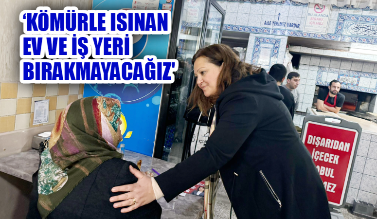 Isınma problemini Afyonkarahisar'ın gündeminden