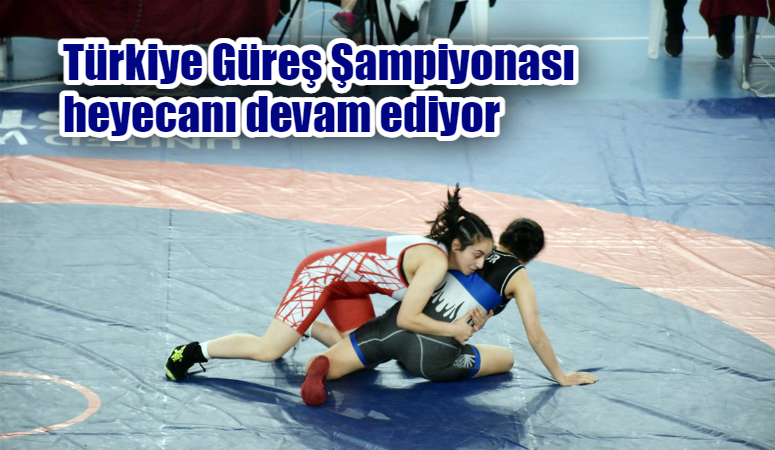Türkiye Güreş Federasyonu faaliyet