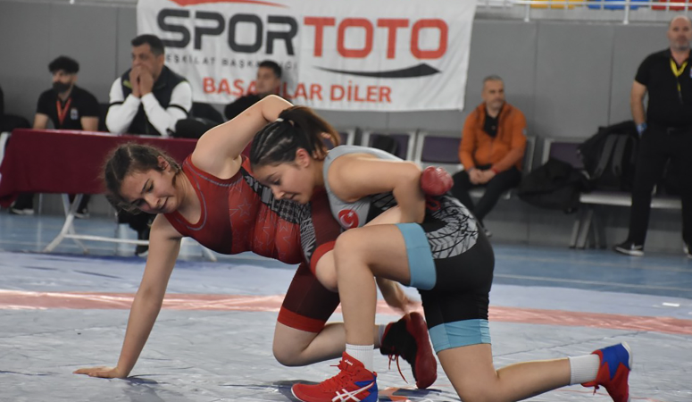 Türkiye Güreş Federasyonu faaliyet