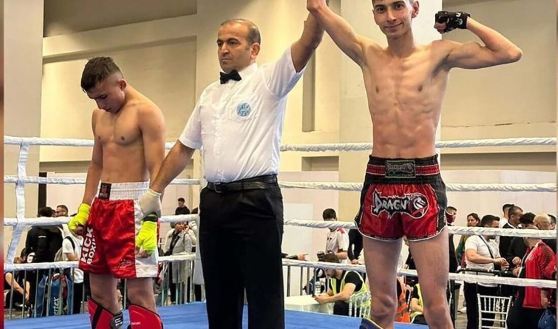 Türkiye Kick Boks Federasyonu