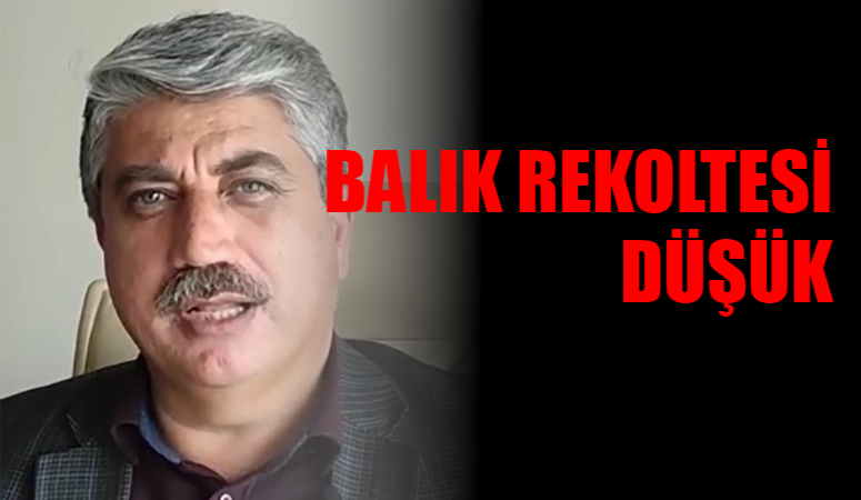 Balık sezonunda beklenen rekoltenin