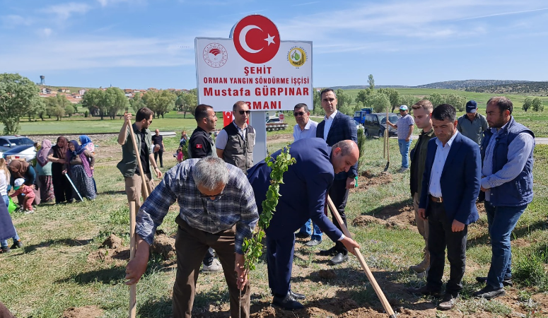 Şehit Orman İşçisi Mustafa