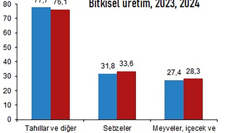 TÜİK: “Tahıl ürünleri üretim