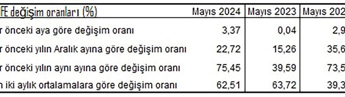 TÜİK rakamlarına göre, Tüketici