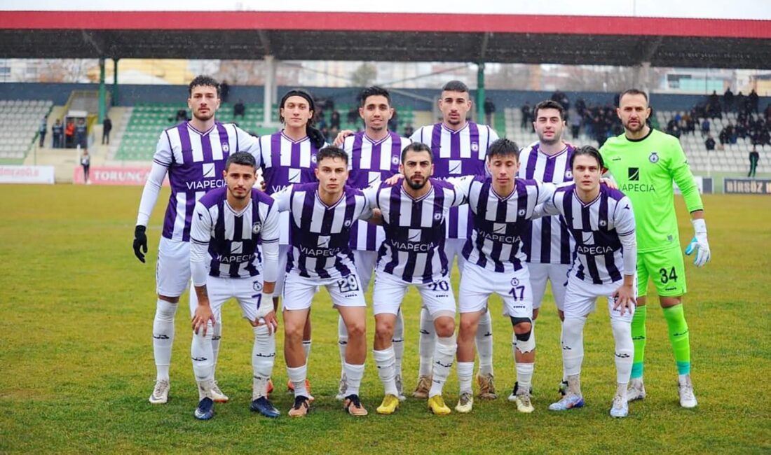 Türkiye Futbol Federasyonu (TFF),