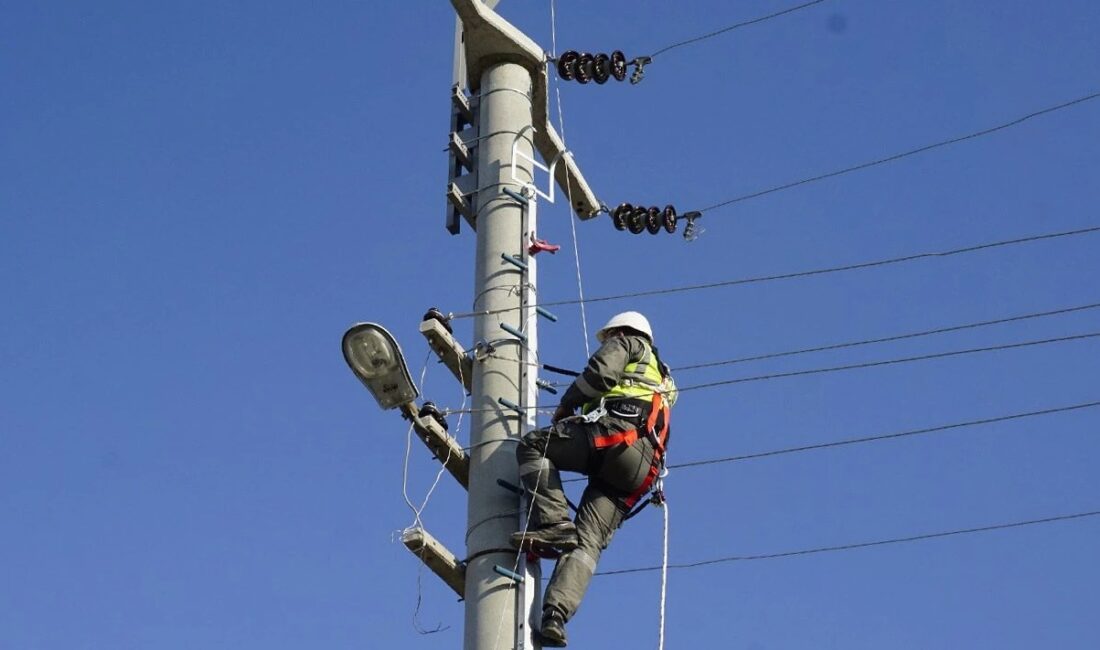 Elektrik dağıtım şirketi OEDAŞ,