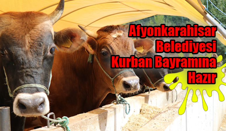 Afyonkarahisar Belediyesi Kurban Bayramı'na