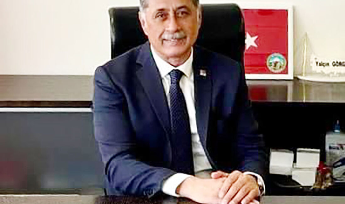 CHP PM Üyesi Yalçın