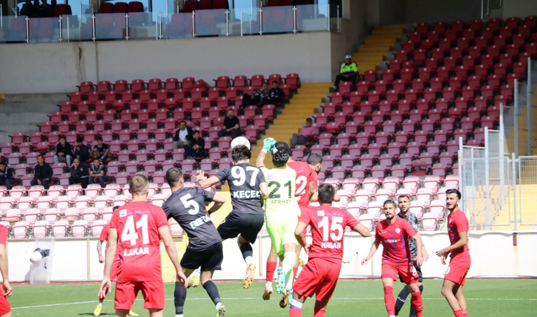 Türkiye Futbol Federasyonu (TFF)