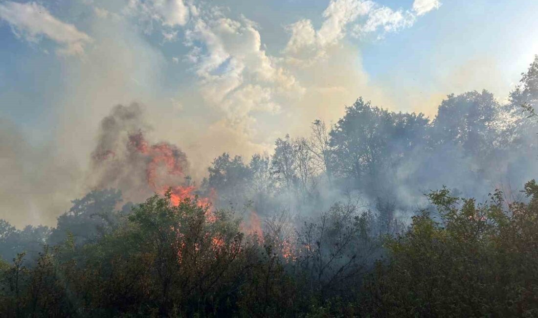 AFYONKARAHİSAR'DA DAĞLIK ALANDA ÇIKAN