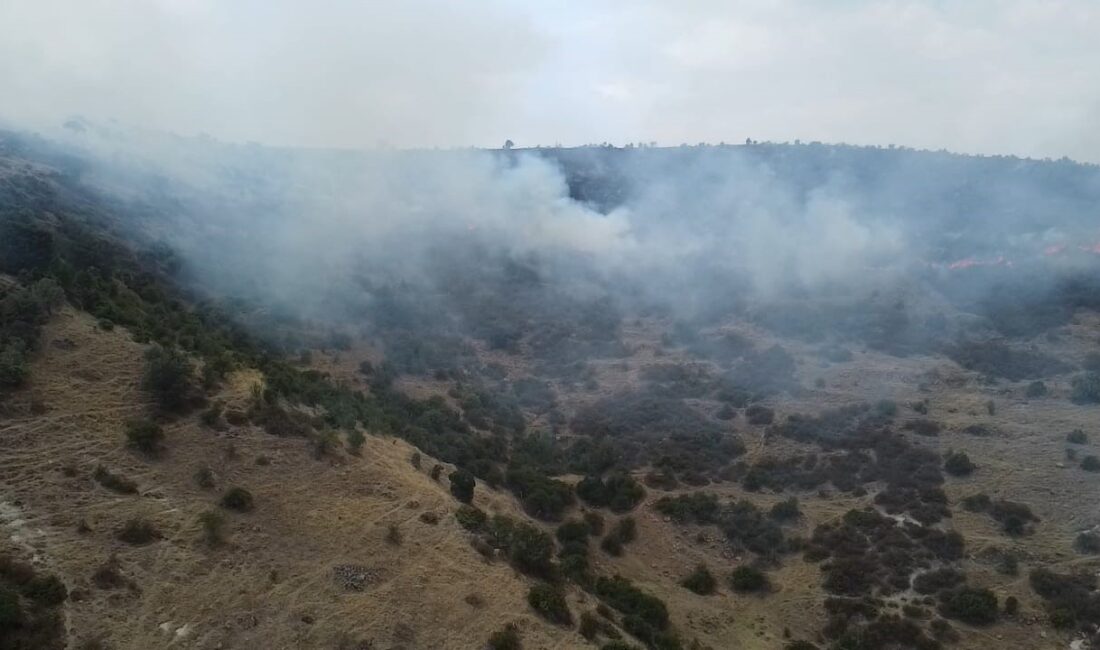 AFYONKARAHİSAR’IN ŞUHUT İLÇESİNDE OT