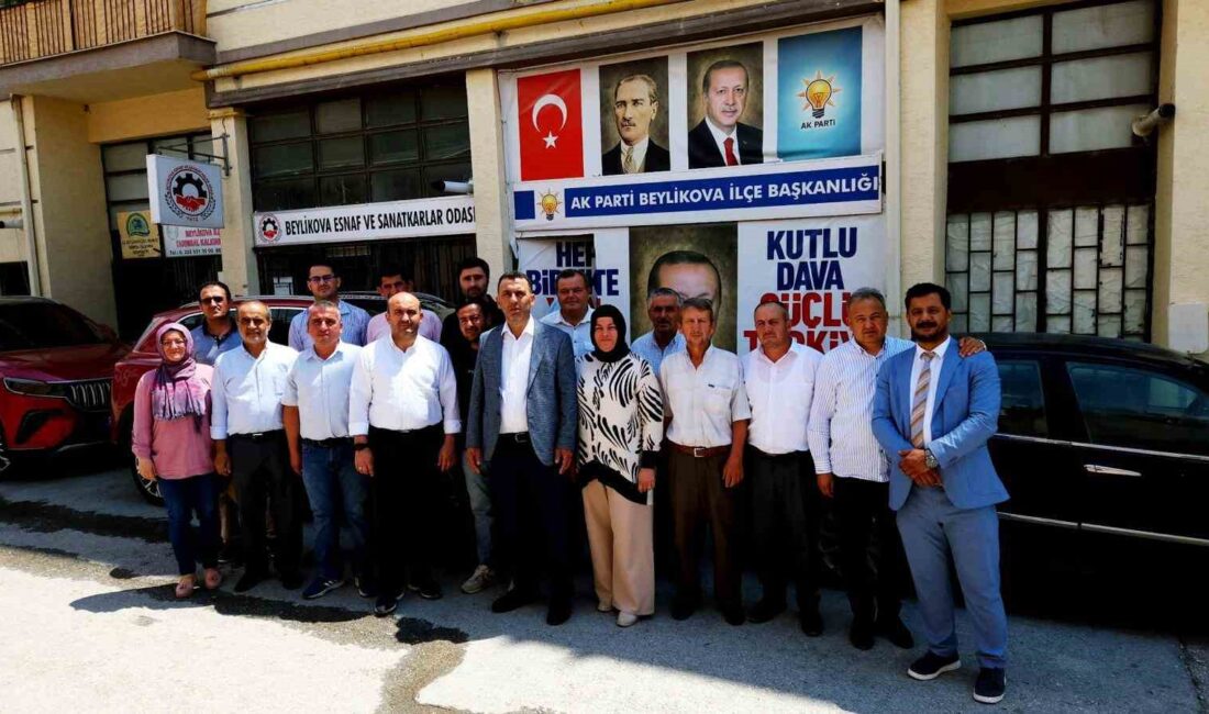 AK PARTİ ESKİŞEHİR İL