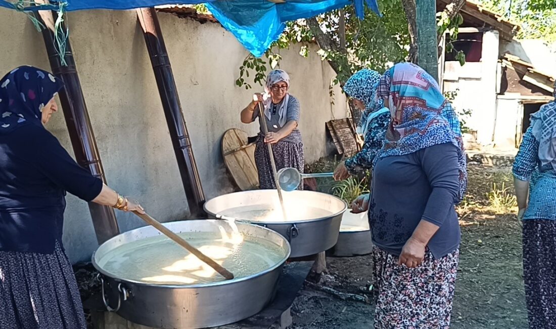 BİLECİK'İN PAZARYERİ İLÇESİNDE KÖY