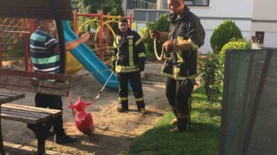 AFYONKARAHİSAR’DA BİR SİTENİN BAHÇESİNDEKİ ÇOCUK OYUN ALANINDA GÖRÜLEN YILAN BÜYÜK