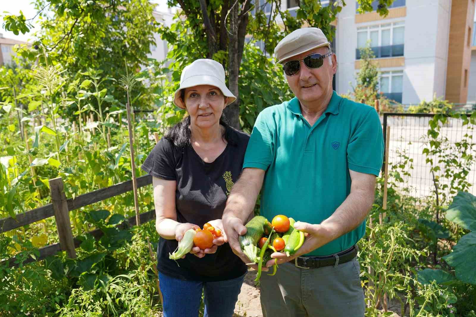 Emekli̇ Çi̇fti̇ Gönüllü Bahçesi̇nde 26 Çeşi̇t Ürün Elde Etti̇