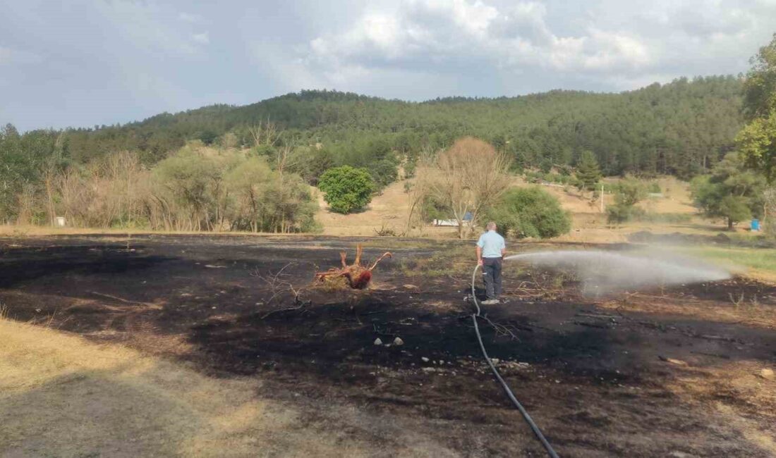 EMET’TE MANGAL ATEŞİNDEN ÇIKAN