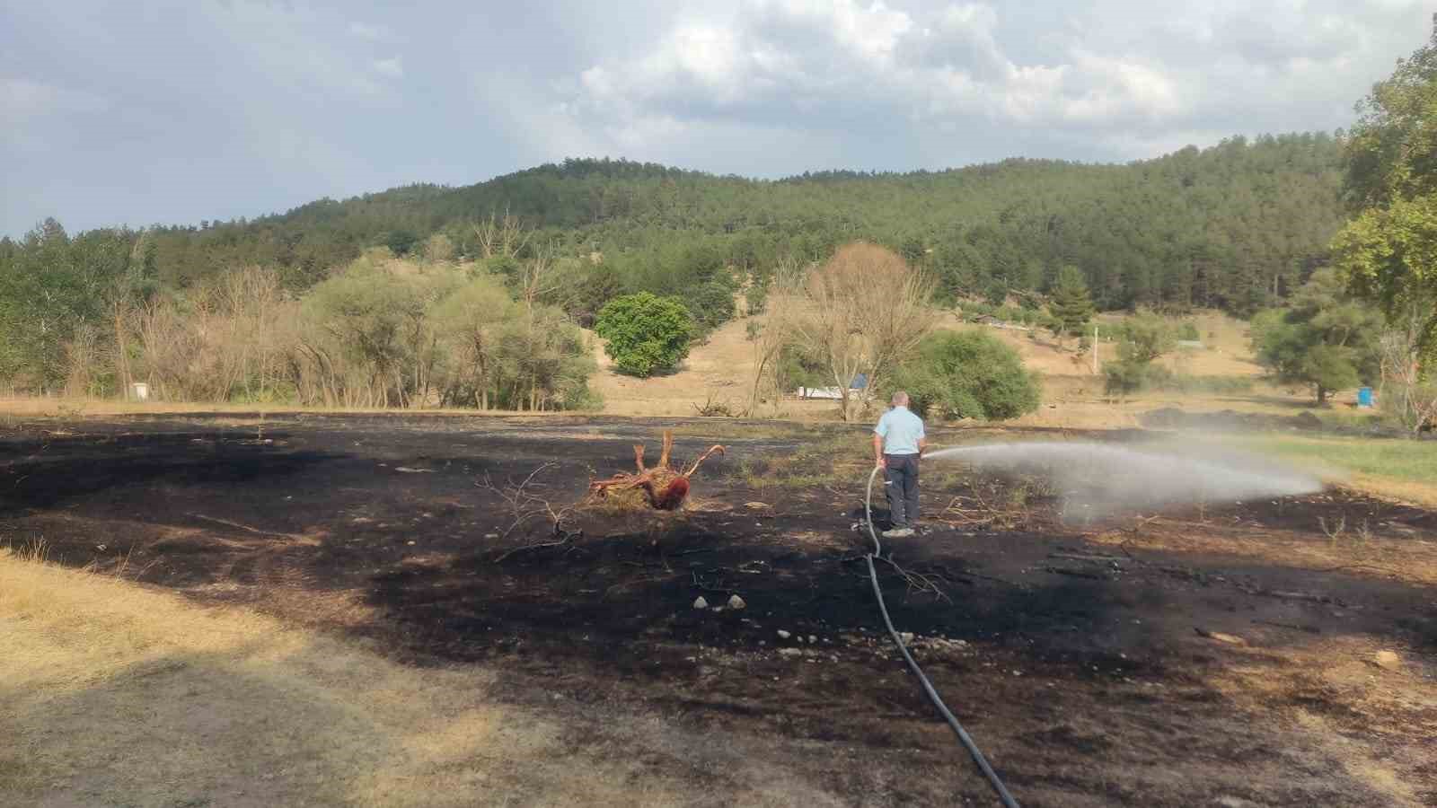 Emette Mangal Ateşi̇nden Çıkan Yangından 2 Dönüm Eki̇li̇ Alan Zarar Gördü