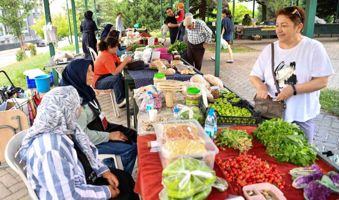 TEPEBAŞI BELEDİYESİ TARAFINDAN HAYATA