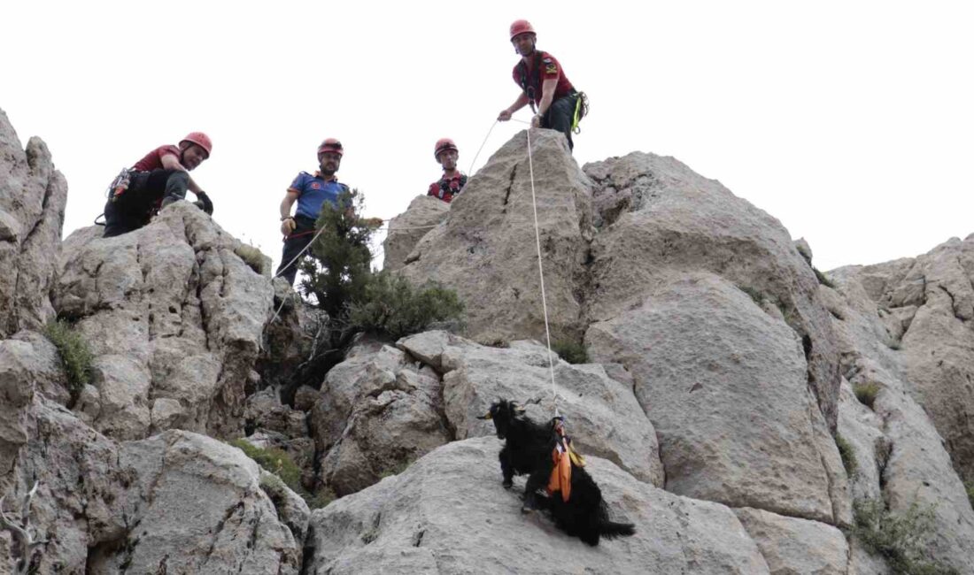 ISPARTA’DA KAYALIK ALANDA MAHSUR