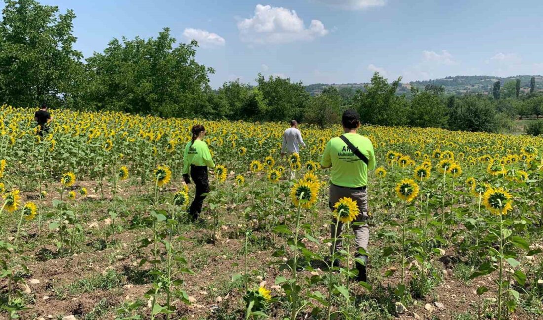 KAYIP ÇOBAN DÜN AKŞAMDAN