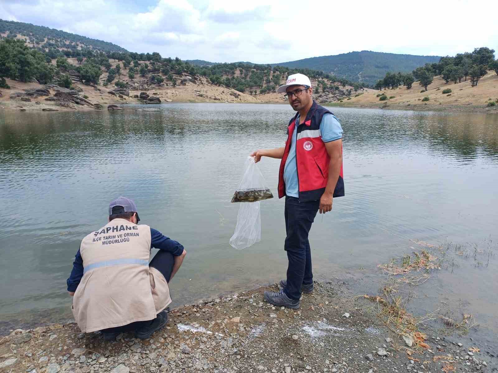 Kütahyada 5 Mi̇lyon 423 Bi̇n 150 Adet Balık İç Su Kaynaklarına Bırakıldı