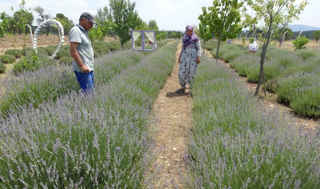 KÜTAHYA'DA DAŞGIN ÇİFTİNİN HOBİ