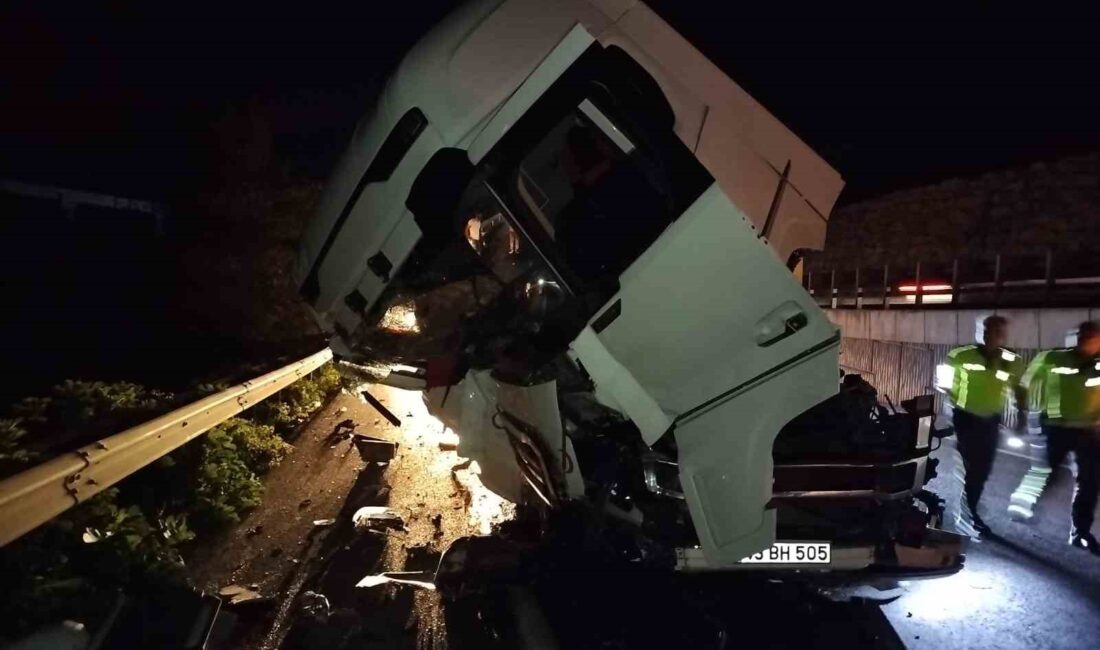 BİLECİK’TE TIR ŞOFÖRÜ ÖNÜNDE