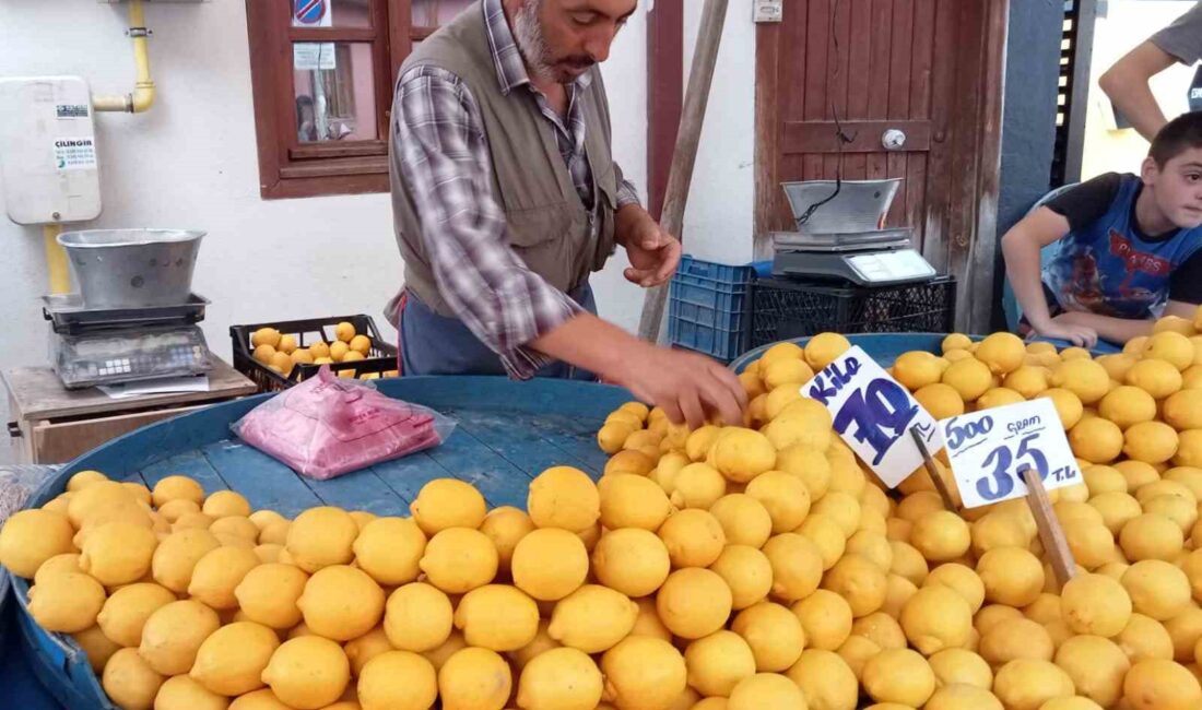 PAZARDA EN ÇOK FİYATI