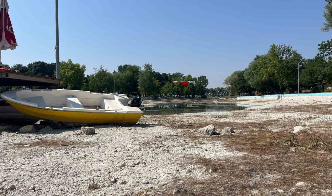 SAKARYA NEHRİ'NİN DOĞDUĞU ÇİFTELER