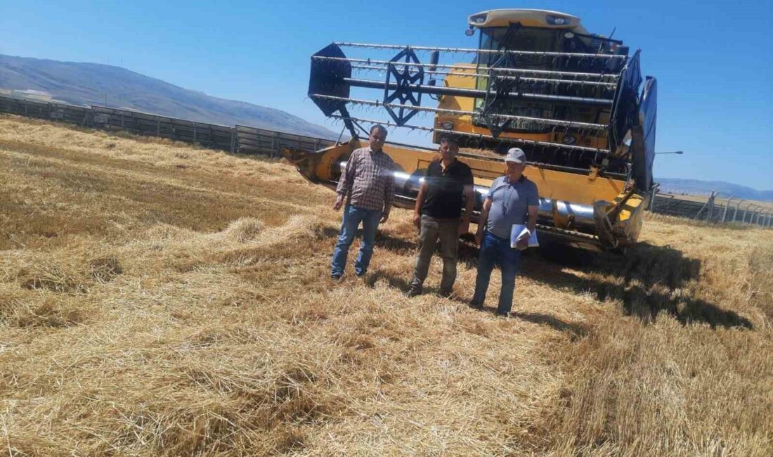 AFYONKARAHİSAR’IN SANDIKLI İLÇESİNDE HUBUBAT