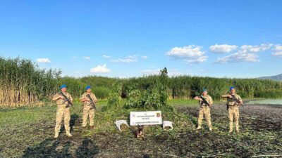AFYONKARAHİSAR’DA JANDARMA EKİPLERİ SON YILLARIN EN BÜYÜK UYUŞTURUCU OPERASYONLARINDAN BİRİSİNE