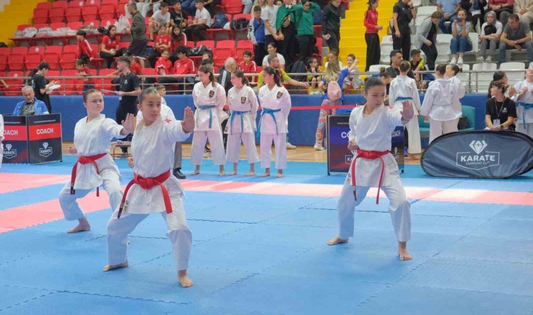 KARATE DÜNYASININ ÖNEMLİ ORGANİZASYONLARINDAN