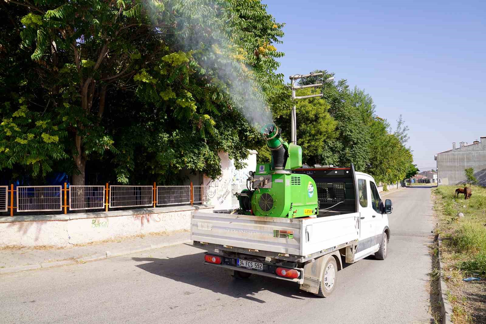 Tepebaşı İlçe Merkezi̇nde Ve Kırsalda Haşere İle Mücadele