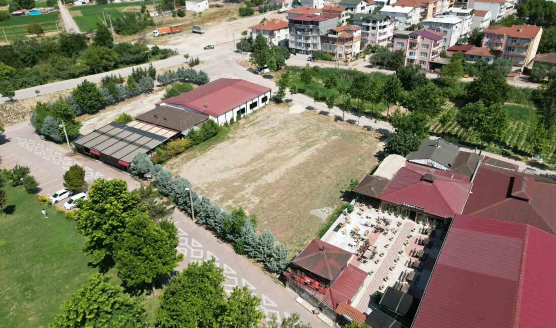 SAKARYA KENARI