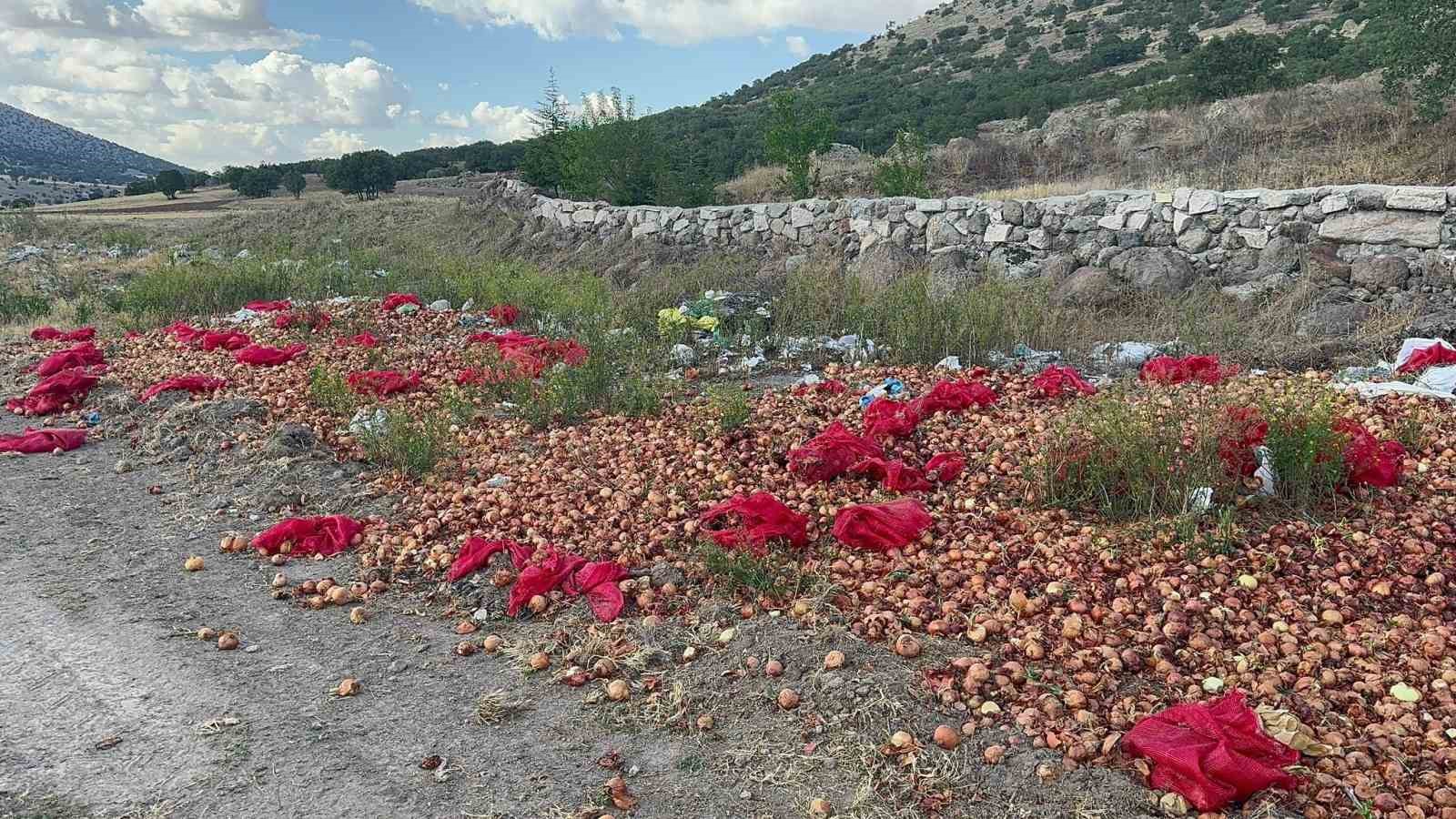 Yaklaşık 2 Ton Kuru Soğanı Boş Arazi̇ye Döküp Gi̇tti̇ler