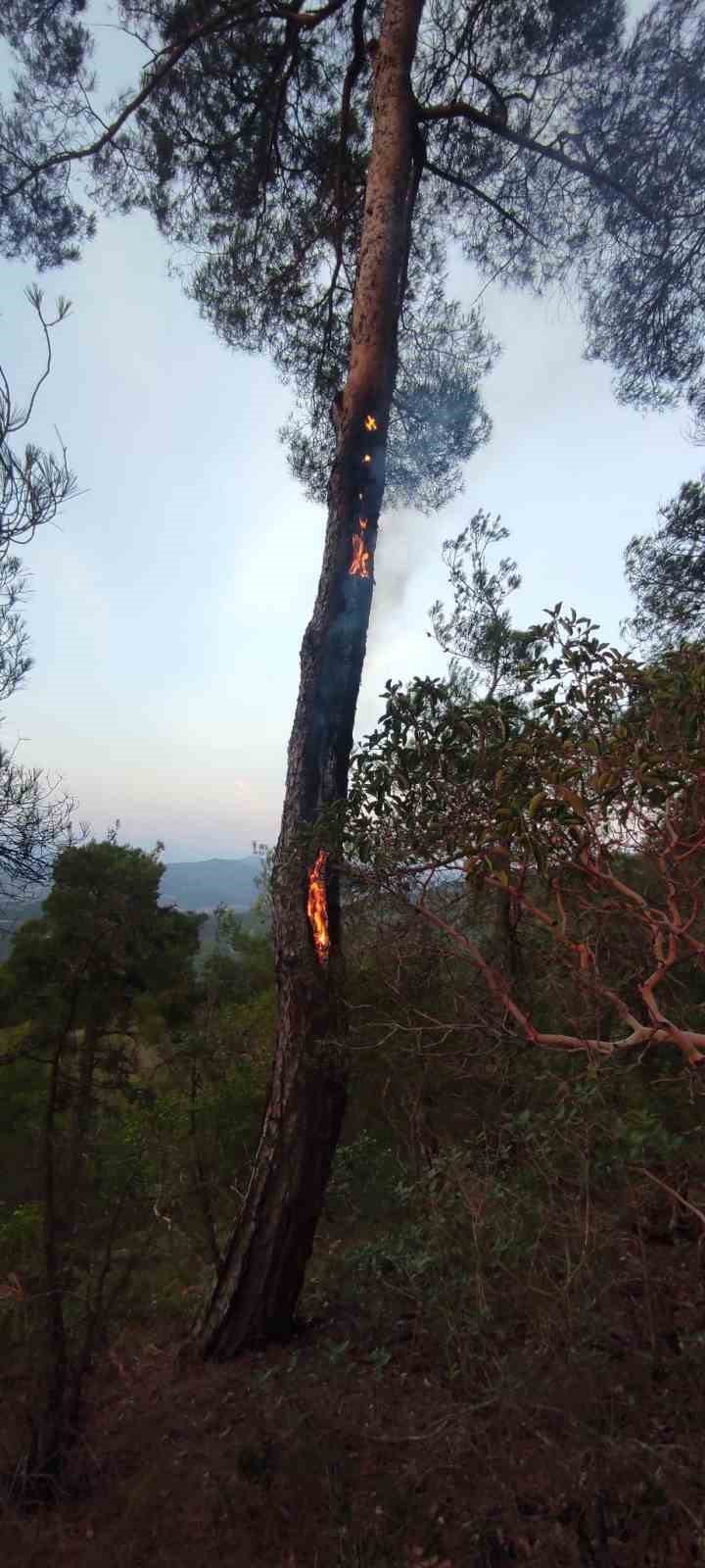 Yıldırımın Neden Olduğu Yangın Kısa Sürede Söndürüldü