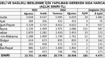 Dört kişilik bir ailenin açlık sınırının bir önceki aya göre