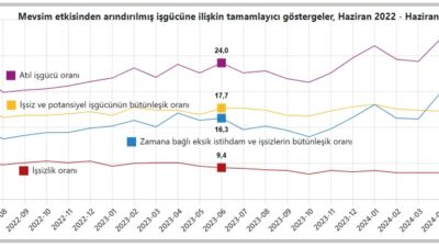 
TÜİK’in açıkladığı işsizlik rakamlarına göre, Türkiye'de işsizlik oranı, haziranda bir