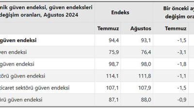 Türkiye İstatistik Kurumu (TÜİK) ağustos ayı ekonomik güven endeksi sonuçları