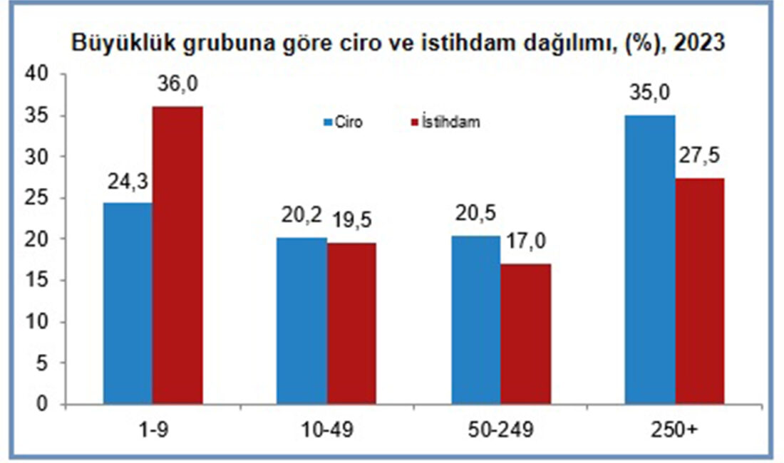 Türkiye İstatistik Kurumu (TÜİK)