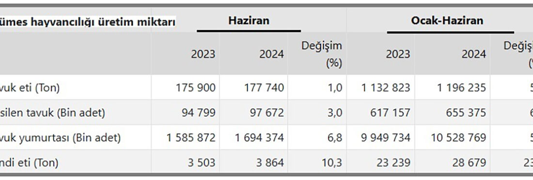 Türkiye İstatistik Kurumu (TÜİK),