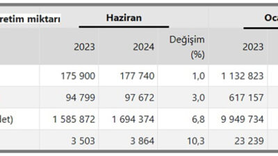 Türkiye İstatistik Kurumu (TÜİK), haziran ayı Kümes Hayvancılığı Üretimi istatistiklerini