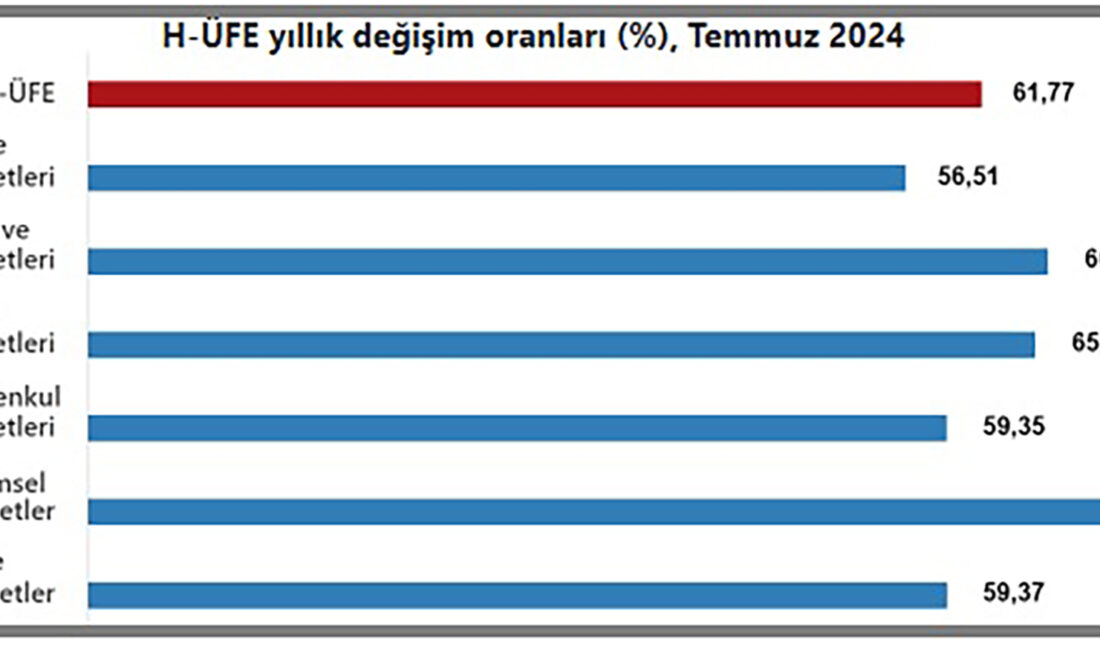 Türkiye İstatistik Kurumu’nun (TÜİK),